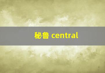 秘鲁 central